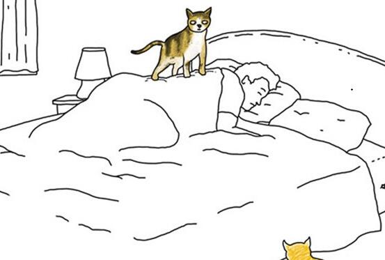 “假如动物会说话”，看俄罗斯人的无限脑洞