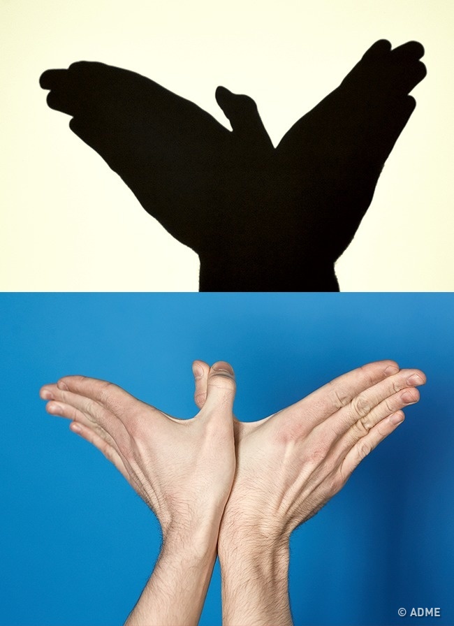 一只手的手影动作图片