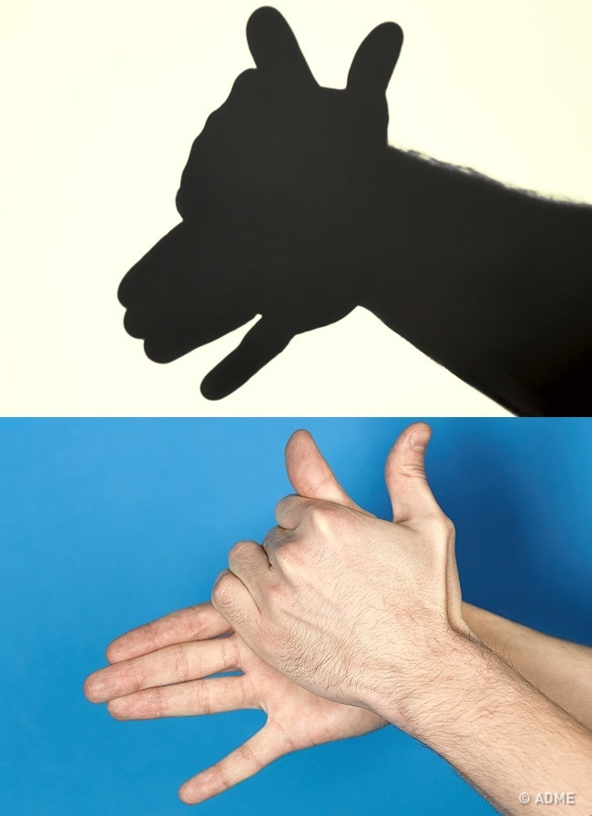 手影的手势图片