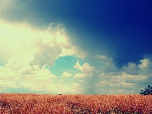 韩语美句：经验