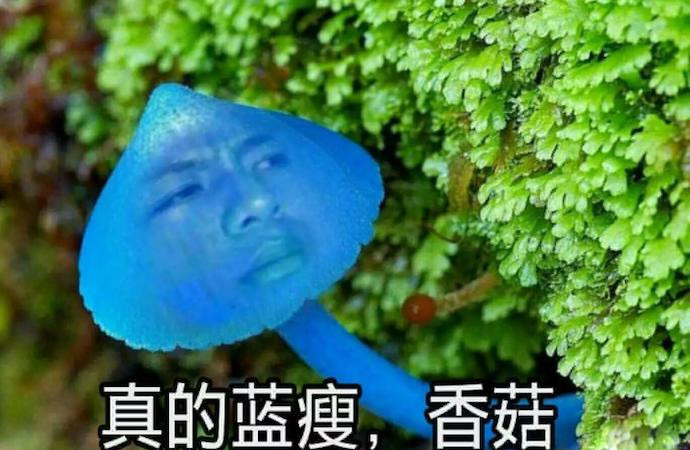 行且珍惜_且行且珍惜出處_珍惜釋義