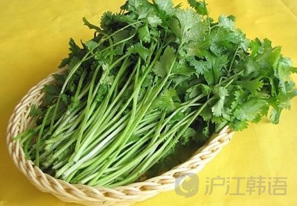 被地道中国菜迷住的韩国艺人们_沪江韩语学习