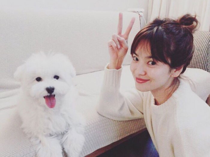 2017上半年沪江最受欢迎的韩语课程TOP7