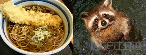 "狐狸乌冬面"和"狸猫荞麦面"之谜