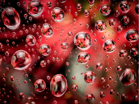 CATTI翻译考试_2018屠屠考研英语长难句 一日