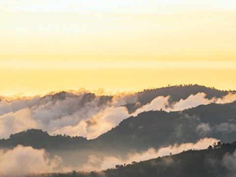 Stative verbs 静态动词