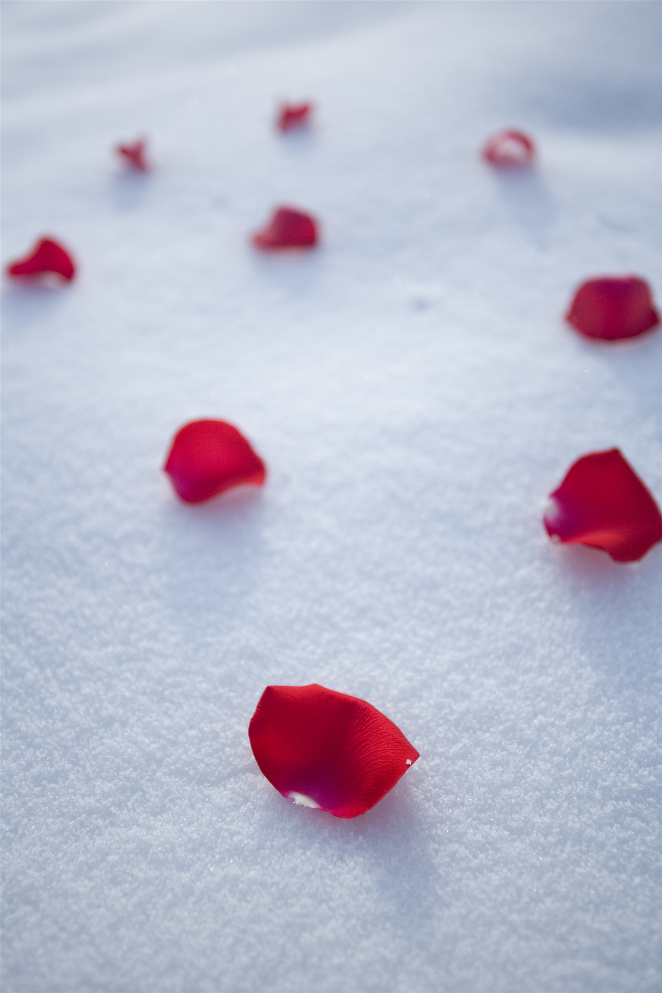 看广告学泰语：爱情的真谛