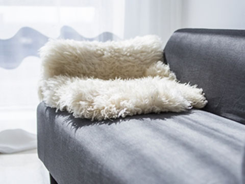 Verbs & Prepositions 动词搭配介词