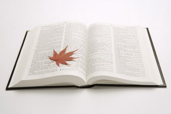 俄语诗歌欣赏：俄罗斯诗歌的月亮-阿赫玛托娃