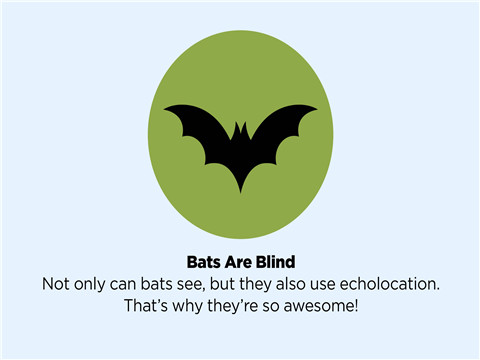 How Do You Attract Bats to Your Yard: A Comprehensive Guide