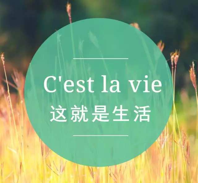 C est La Vie 
