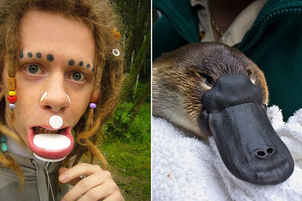 人体改造:这个梦想变成鸭嘴兽的俄罗斯小伙做到了