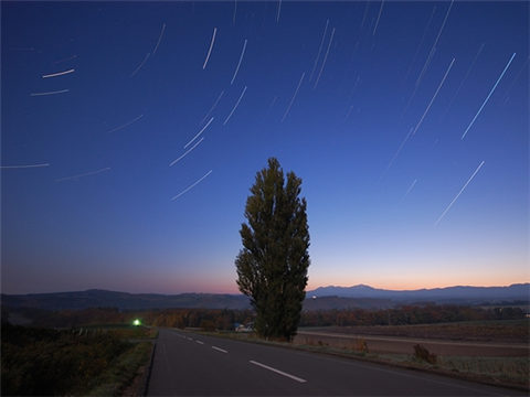 星座占卜：你中意的他是S还是M？