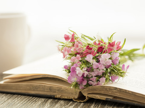 德国的全民阅读