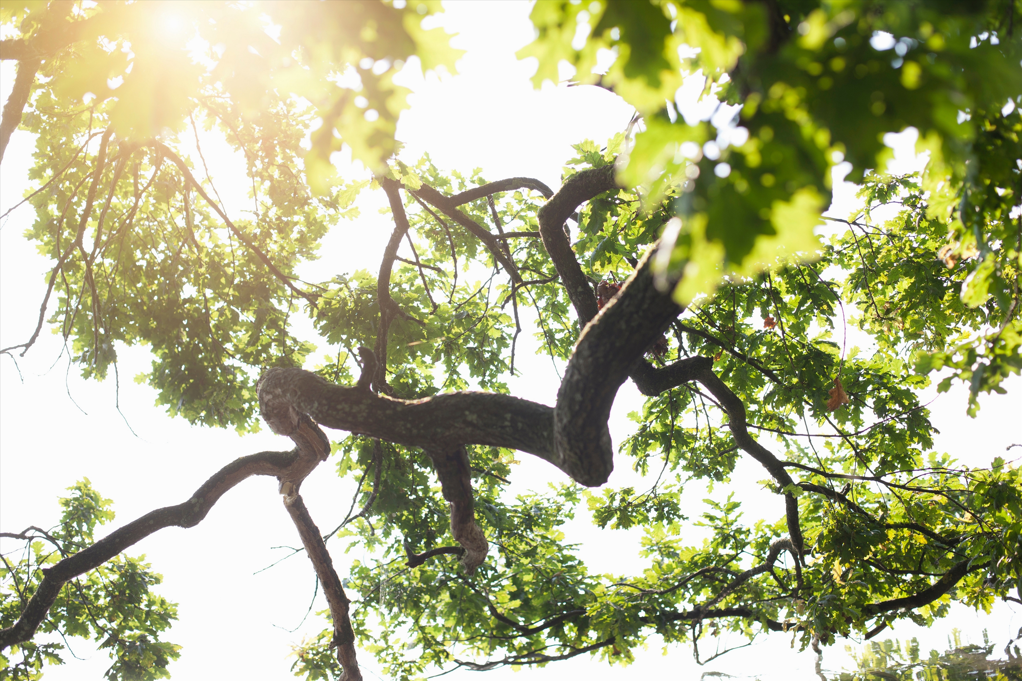 西班牙语每日一句:生活不能没有爱情_西班牙语