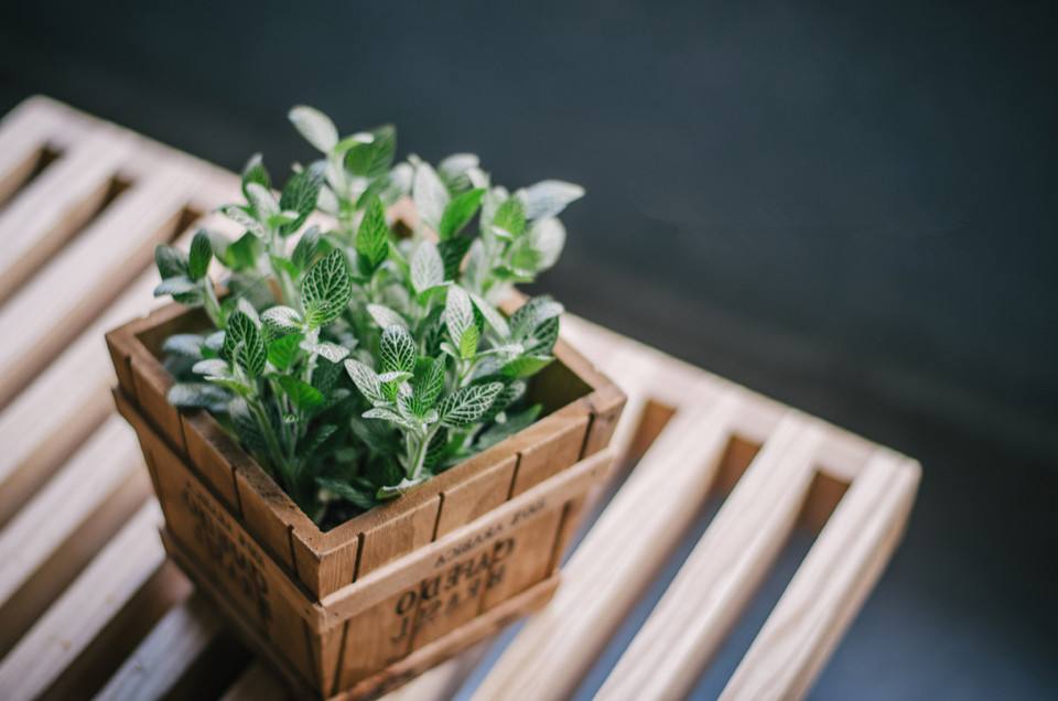 1,iso-表示"等,同"   isotherm等温线(iso therm热)