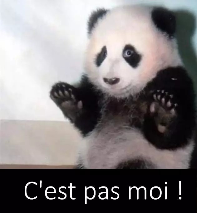 法国人说,大熊猫起源于欧洲!好生气哦,明目张胆