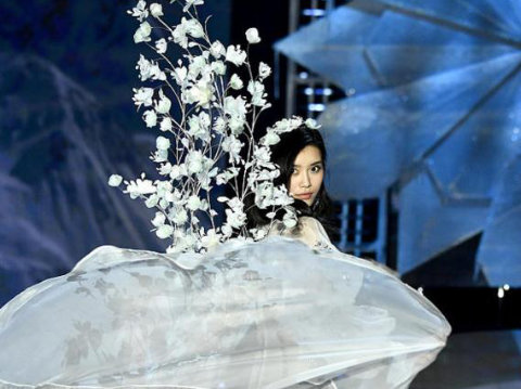 韩媒如何报道中国超模奚梦瑶维密T台摔倒_明