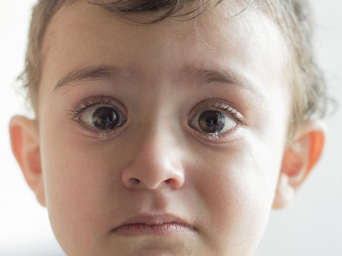 Youtube一千万播放量的德语圣诞广告，服气！