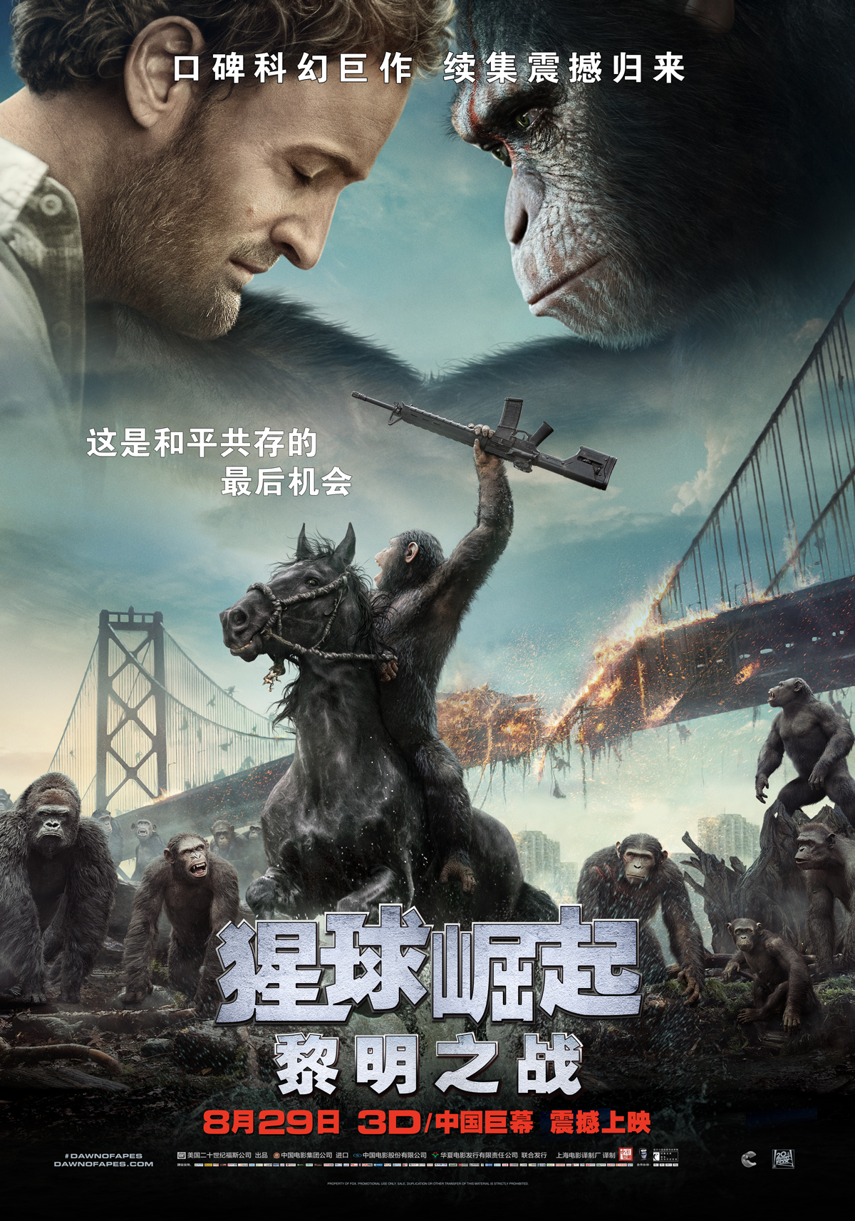 看《猩球崛起2》学口语:猿类不杀猿类