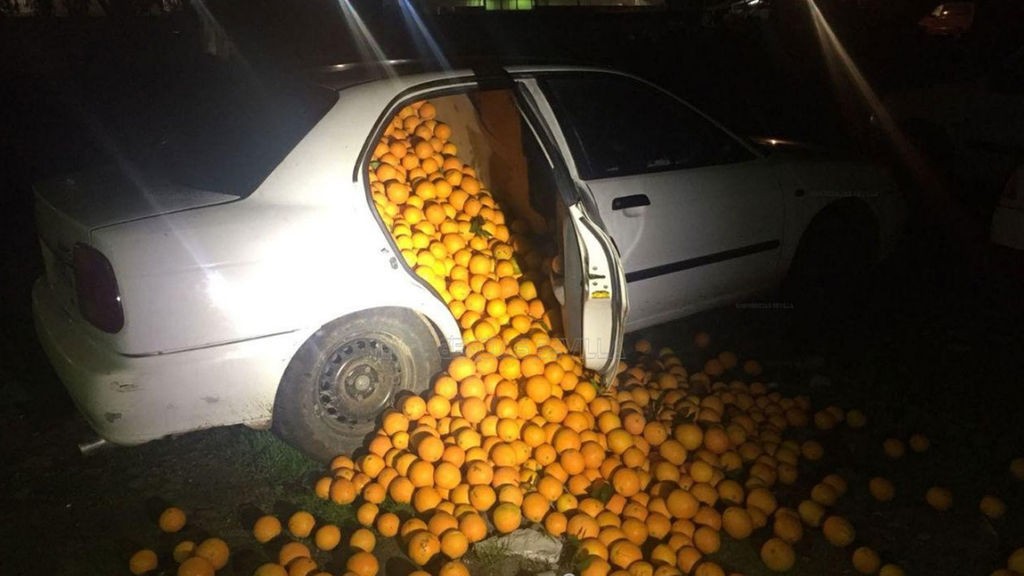西班牙盗贼偷走4000公斤橙子,竟说是路上捡来