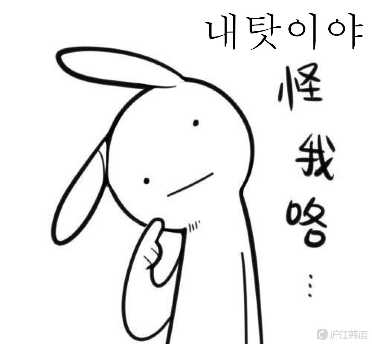 行走的韩语表情包,宛若自己上了个假网