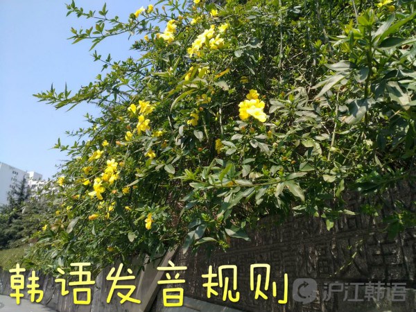 韩语发音规则:菜鸟扫盲之韩语发音