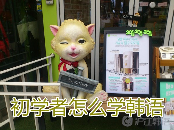 初学者怎么学韩语:韩语初学者如何选择教材