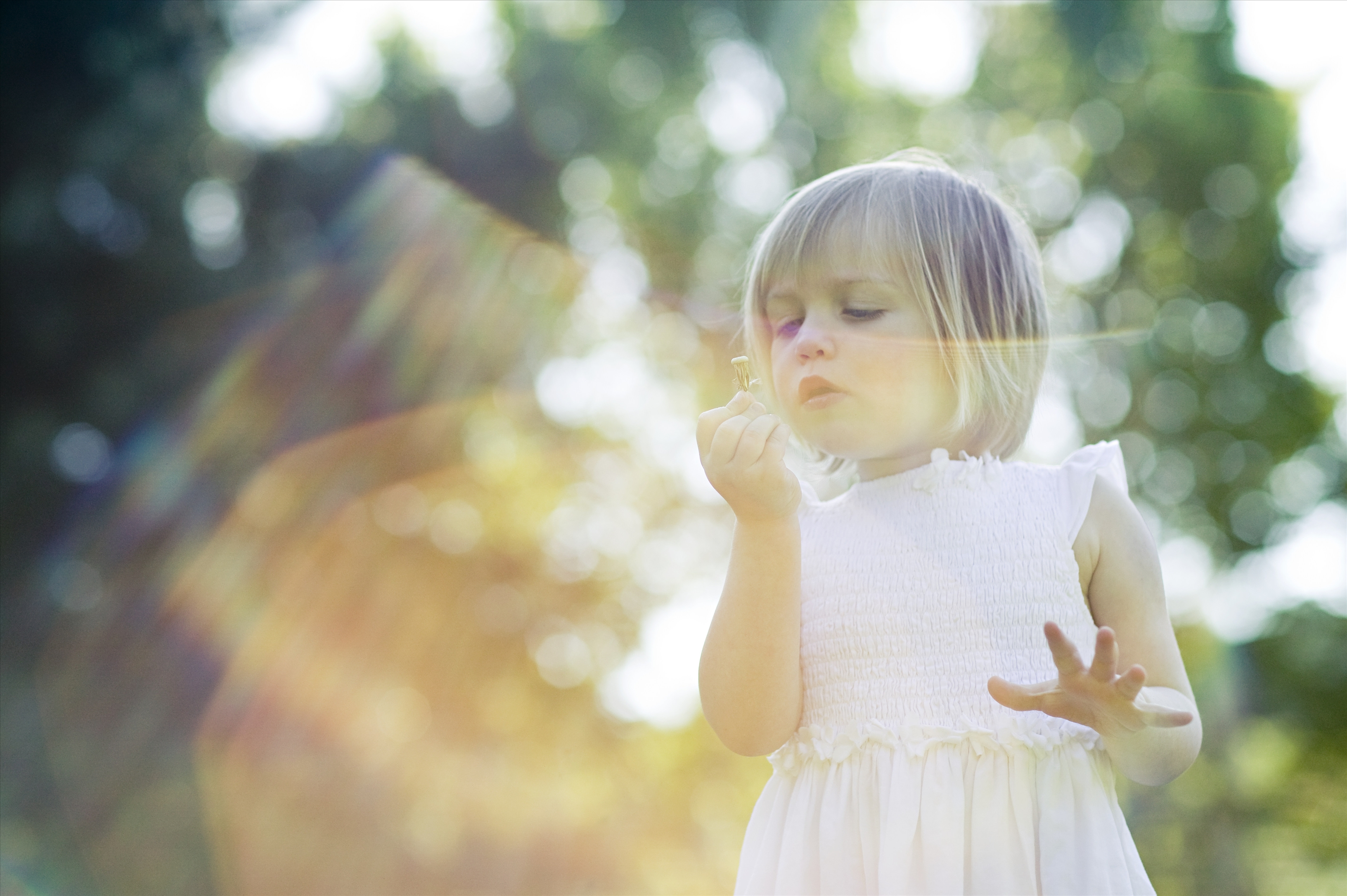 西语名字背后的寓意:常见西语名Inés有什么含