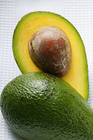 avocado是什么意思图片