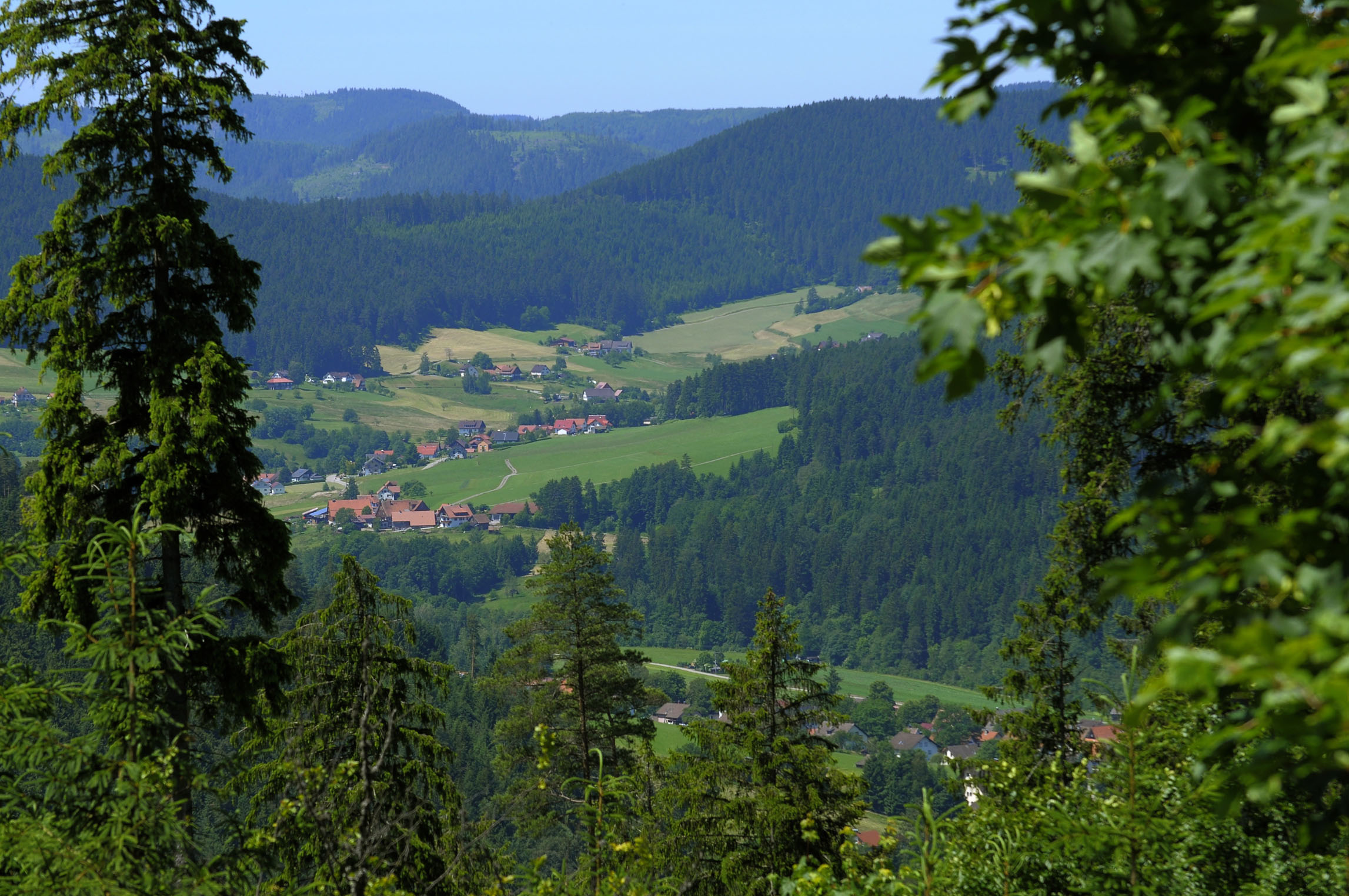好想和你在这样的德意志虚度光阴.