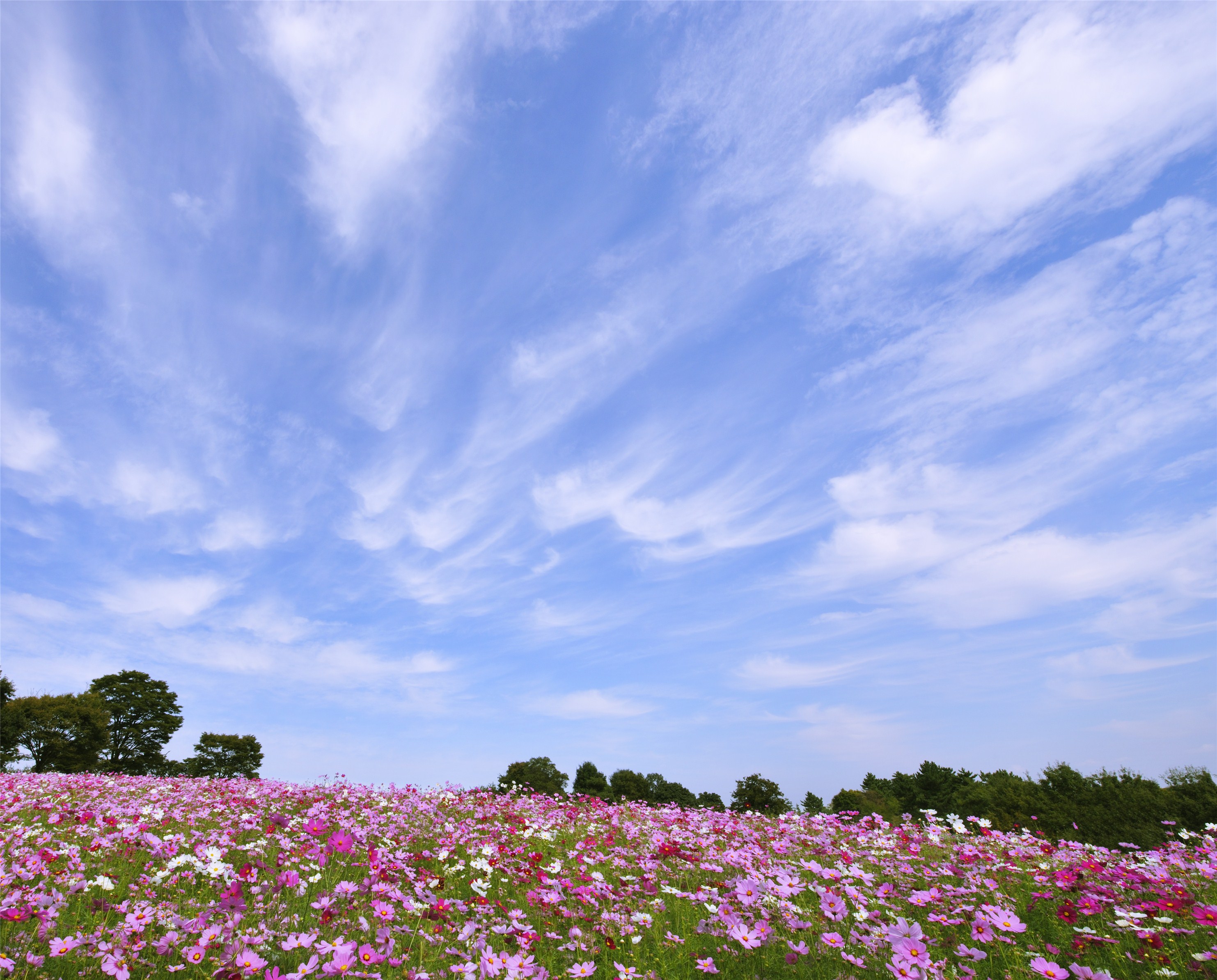 秋天的天空更晴朗?