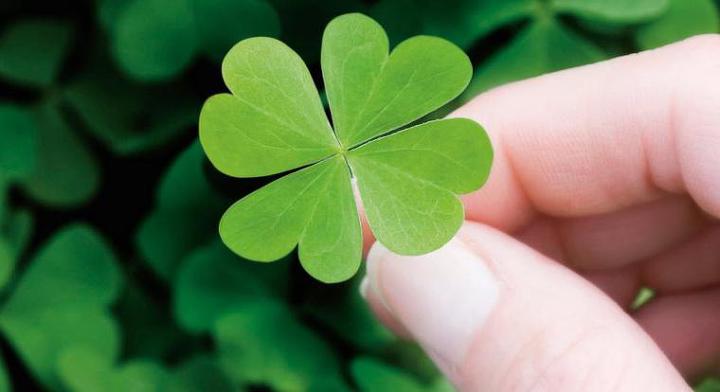 世界各国的幸运象征物,你知道吗?