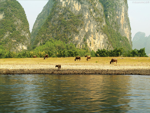英语四六级阅读理解复习计划 