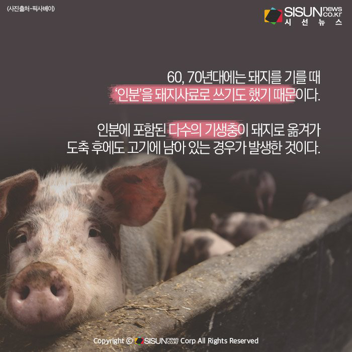 人口中寄生虫是什么样的_寄生虫是什么样的(2)