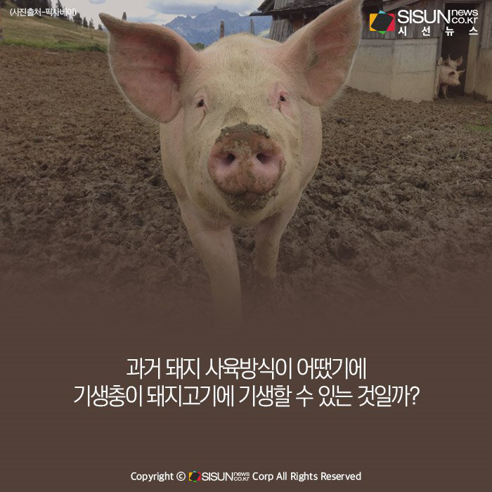 人口中寄生虫是什么样的_寄生虫是什么样的(2)