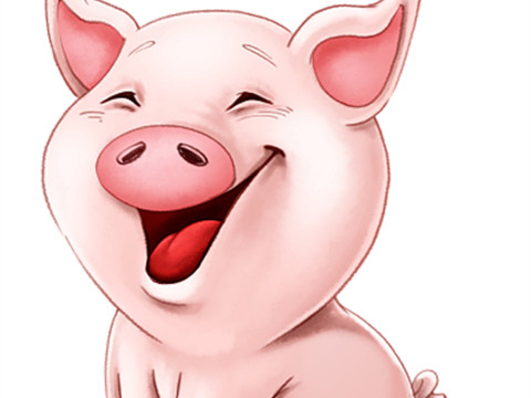 猪年到！这些关于“猪”的德语表达你不可不知！