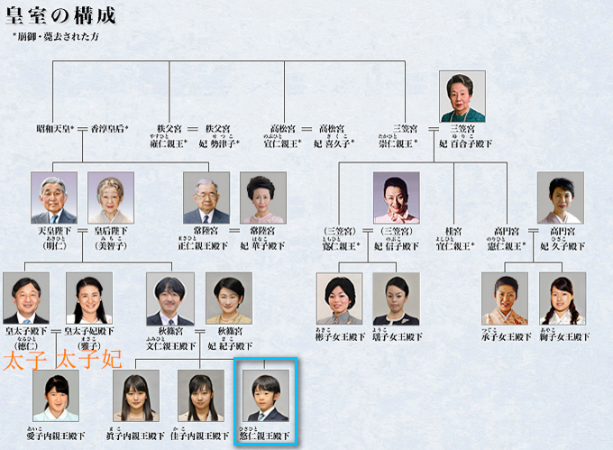 皇室成员的任何个人选择都受限于皇室典范,一言一行更是受制于宫内厅