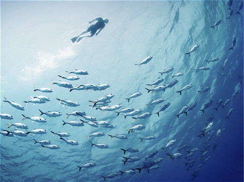 《了不起的盖茨比》哪句话戳中了你的心呢？