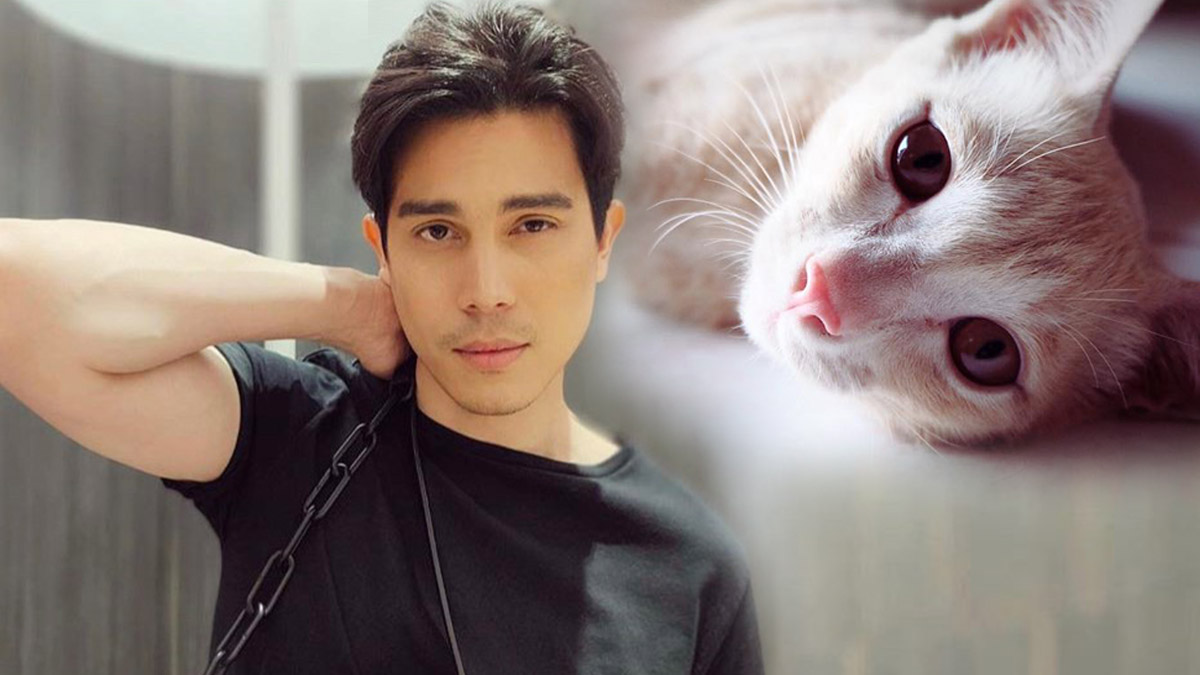 大咖专访丨不曾有过主子的铲屎官，幽默Sunny眼中与小动物的爱情