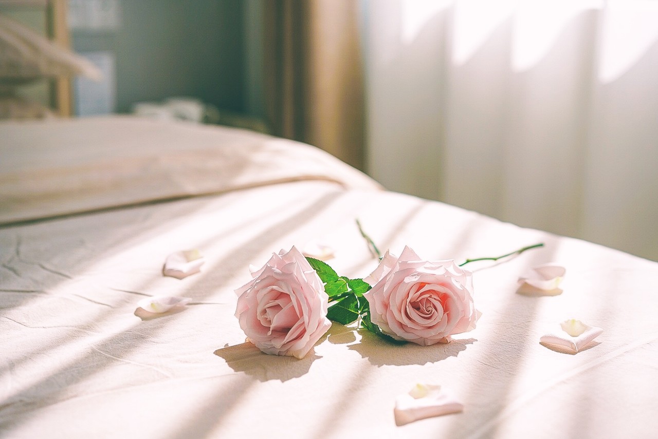 西班牙语情话：你是我前行的动力