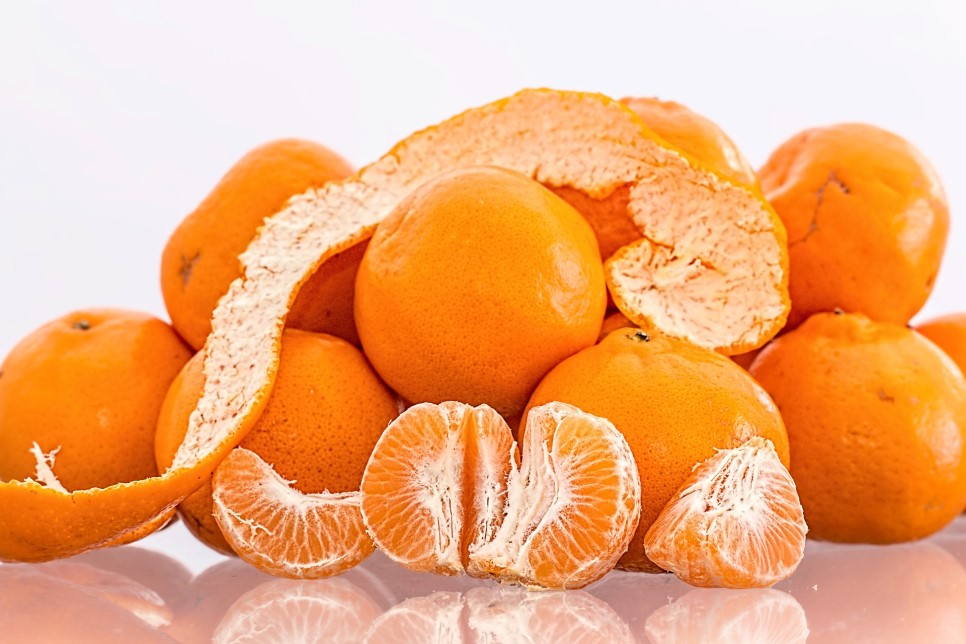 橘醋猜成语(2)