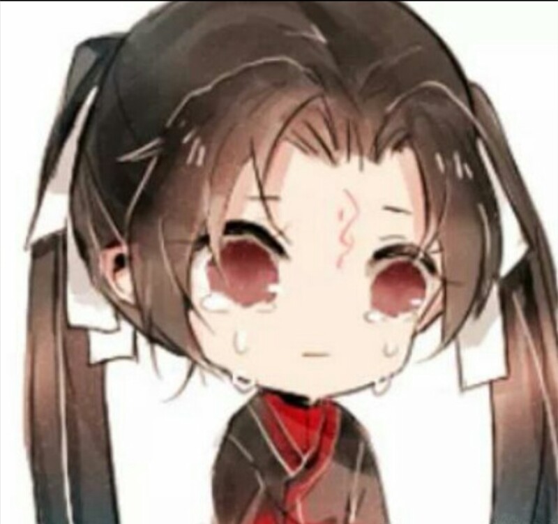 我没有太多 发张冰妹图图