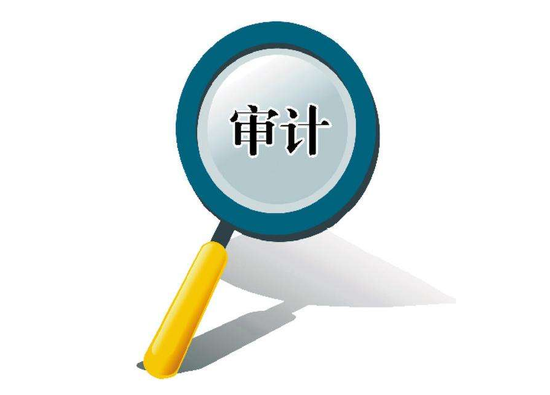 会计从业资格考试 审计是一种对企业财务收支进行独立性经济监督的