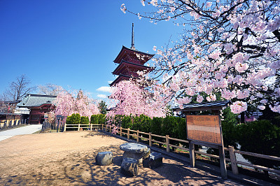 留学生回国后就业情况较好的专业
