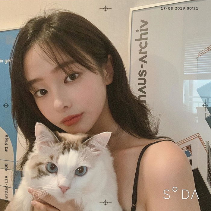 ins上坐拥百万粉丝,孙花敏为什么这么火