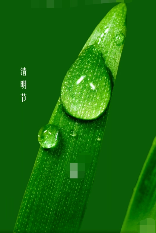 情明节