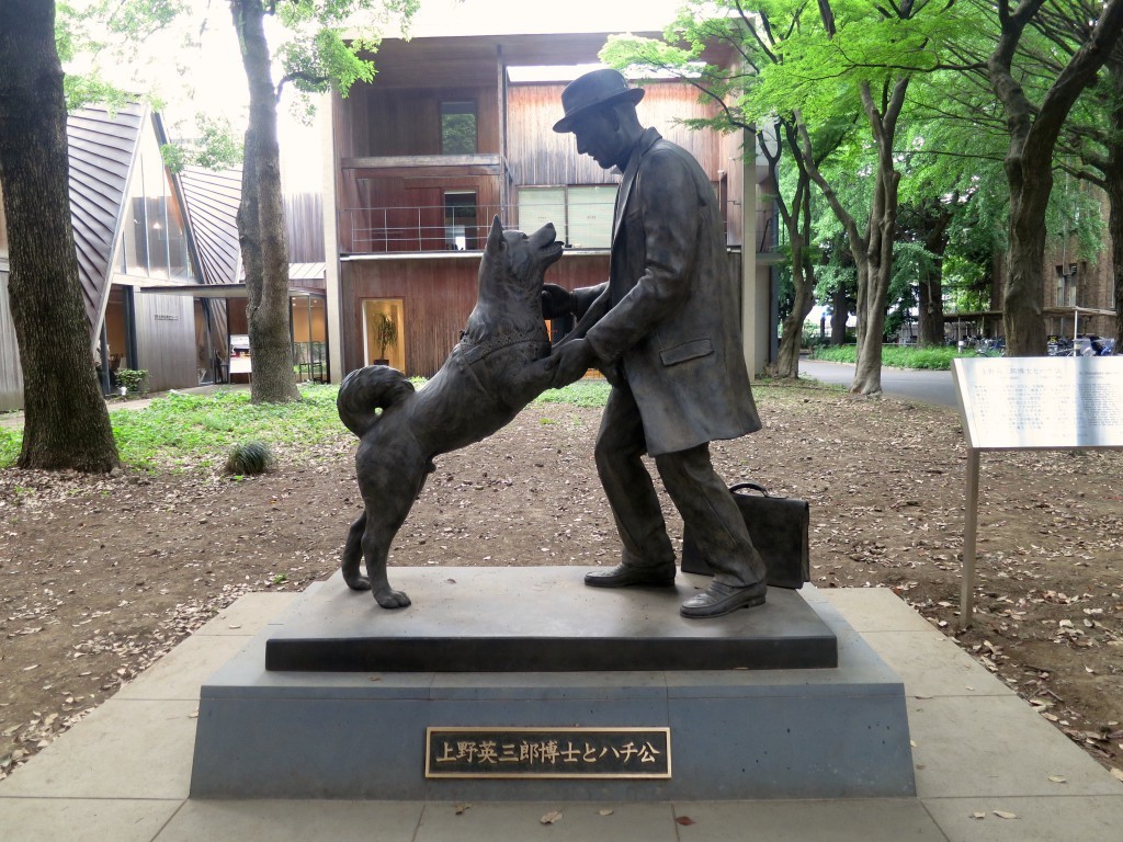 内有福利中国要翻拍忠犬八公啦大家期待吗