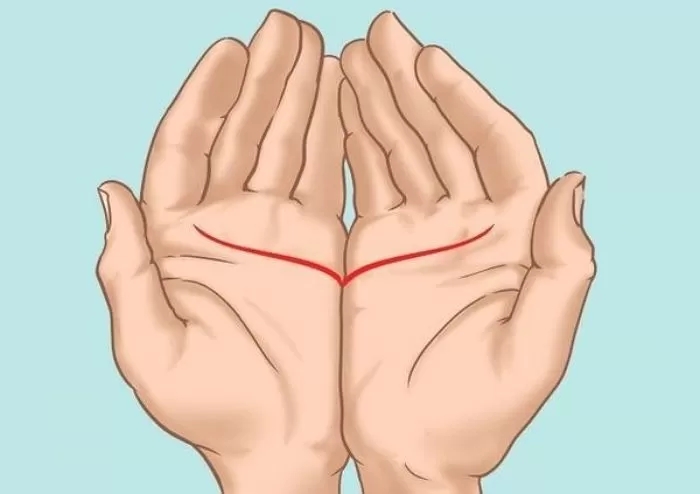 9163 40843175 8502 02733189 533395