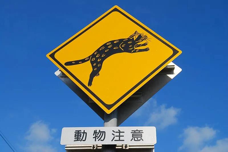内行)最常见的鹿飞出警告标志若有野生鹿以外的动物出没的可能性,也